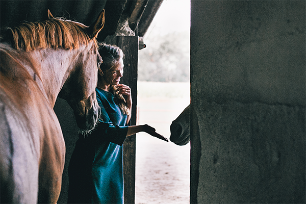 Coaching met paarden