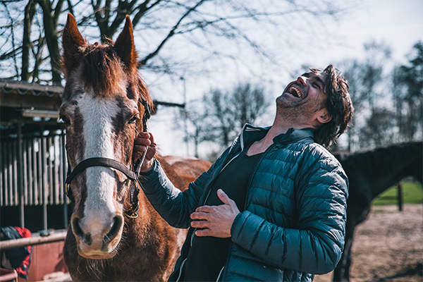 Coaching met paarden