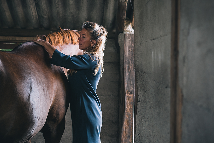 Coaching met paarden