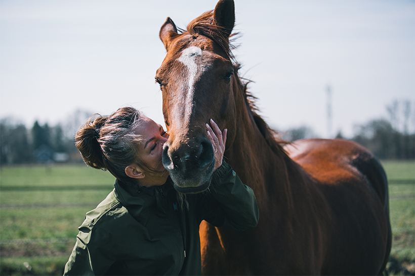 Coaching met paarden